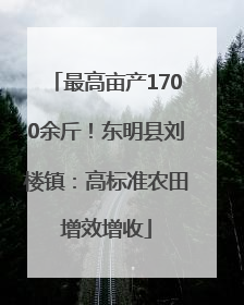 最高亩产1700余斤！东明县刘楼镇：高标准农田增效增收