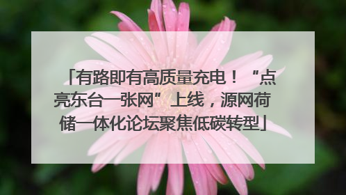 有路即有高质量充电！“点亮东台一张网”上线，源网荷储一体化论坛聚焦低碳转型