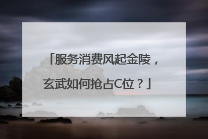 服务消费风起金陵，玄武如何抢占C位？