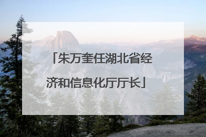 朱万奎任湖北省经济和信息化厅厅长
