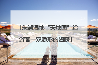 朱湖湿地“天地图”给游客一双隐形的翅膀