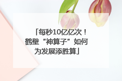 每秒10亿亿次！鹤壁“神算子”如何为发展添胜算