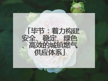 毕节：着力构建安全、稳定、绿色、高效的城镇燃气供应体系