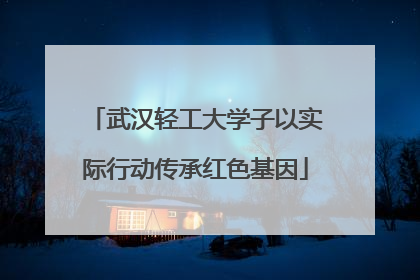 武汉轻工大学子以实际行动传承红色基因