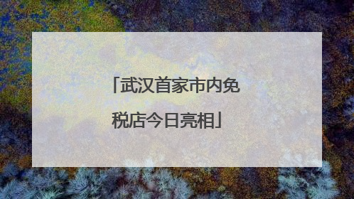 武汉首家市内免税店今日亮相