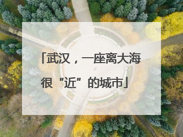 武汉，一座离大海很“近”的城市