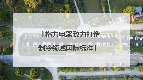 格力电器致力打造制冷领域国际标准