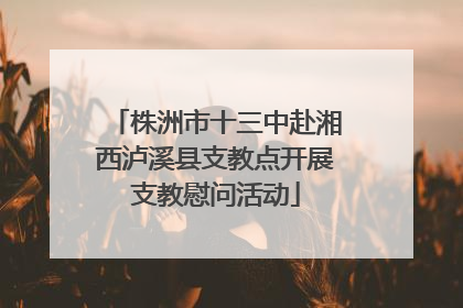 株洲市十三中赴湘西泸溪县支教点开展支教慰问活动