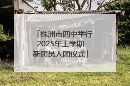 株洲市四中举行2025年上学期新团员入团仪式