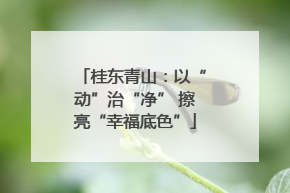 桂东青山：以“动”治“净” 擦亮“幸福底色”