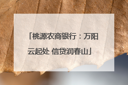 桃源农商银行：万阳云起处 信贷润春山