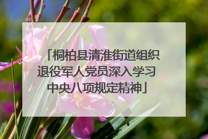 桐柏县清淮街道组织退役军人党员深入学习中央八项规定精神