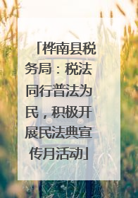 桦南县税务局：税法同行普法为民，积极开展民法典宣传月活动