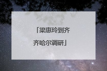 梁惠玲到齐齐哈尔调研