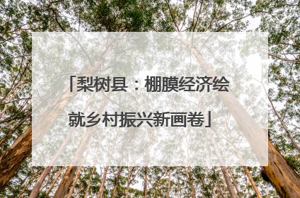 梨树县：棚膜经济绘就乡村振兴新画卷