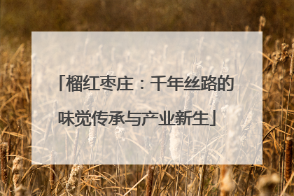 榴红枣庄：千年丝路的味觉传承与产业新生