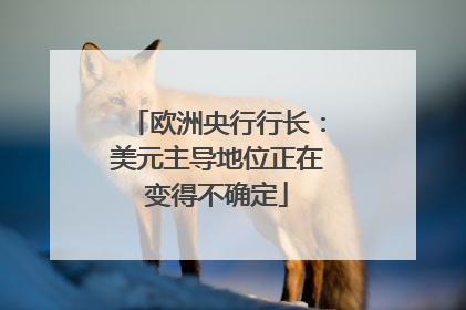 欧洲央行行长：美元主导地位正在变得不确定