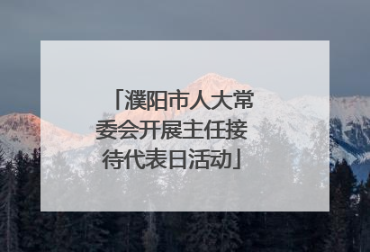濮阳市人大常委会开展主任接待代表日活动