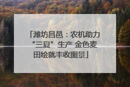 潍坊昌邑：农机助力“三夏”生产 金色麦田绘就丰收图景