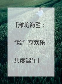 潍坊海警：“粽”享欢乐共度端午