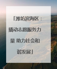 潍坊滨海区：撬动志愿服务力量 助力社会和谐发展