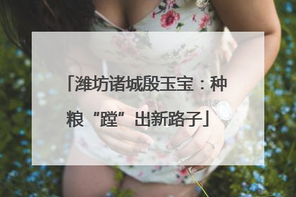 潍坊诸城殷玉宝：种粮“蹚”出新路子