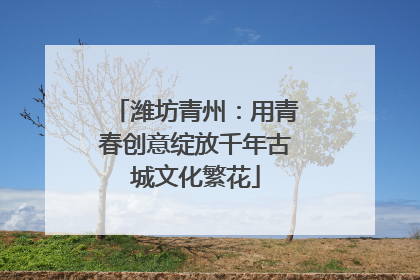 潍坊青州：用青春创意绽放千年古城文化繁花