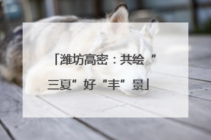 潍坊高密：共绘“三夏”好“丰”景