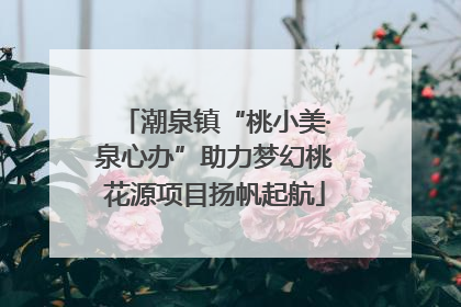 潮泉镇“桃小美·泉心办”助力梦幻桃花源项目扬帆起航