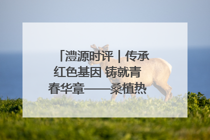 澧源时评｜传承红色基因 铸就青春华章——桑植热土上的青春长征