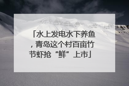 水上发电水下养鱼，青岛这个村百亩竹节虾抢“鲜”上市