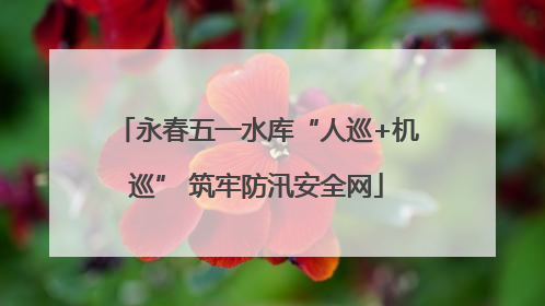 永春五一水库“人巡+机巡” 筑牢防汛安全网