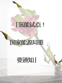 氢能试点！国家能源局重要通知