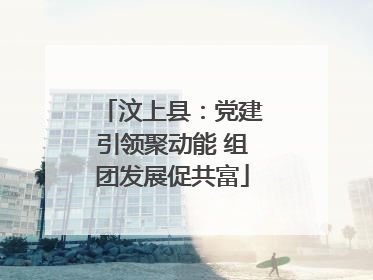 汶上县：党建引领聚动能 组团发展促共富