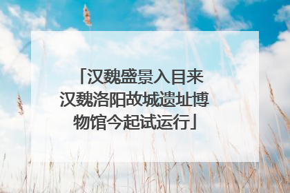 汉魏盛景入目来 汉魏洛阳故城遗址博物馆今起试运行