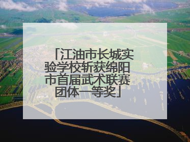 江油市长城实验学校斩获绵阳市首届武术联赛团体一等奖