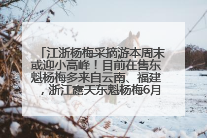 江浙杨梅采摘游本周末或迎小高峰！目前在售东魁杨梅多来自云南、福建，浙江露天东魁杨梅6月中旬大量上市