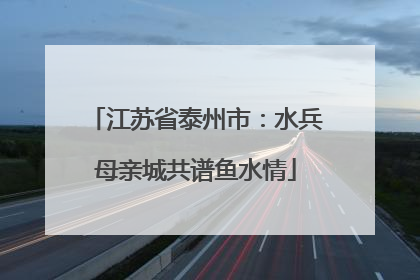 江苏省泰州市：水兵母亲城共谱鱼水情