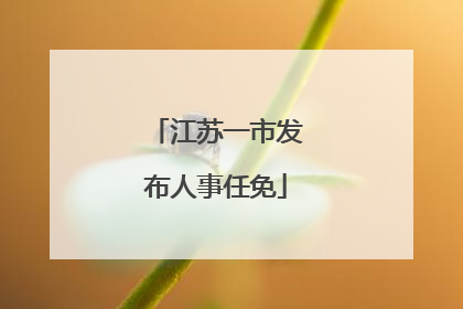 江苏一市发布人事任免