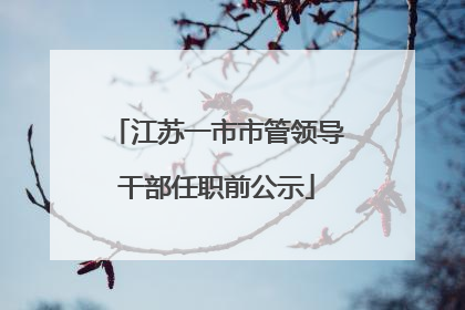 江苏一市市管领导干部任职前公示