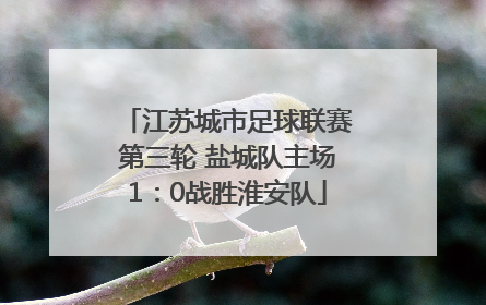 江苏城市足球联赛第三轮 盐城队主场1：0战胜淮安队
