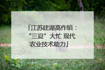 江苏建湖高作镇：“三夏”大忙 现代农业技术助力