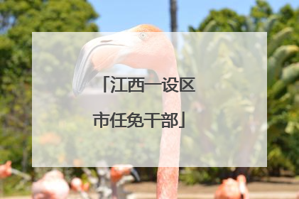 江西一设区市任免干部
