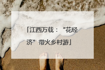 江西万载：“花经济”带火乡村游