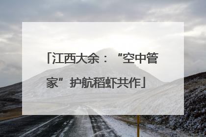 江西大余：“空中管家”护航稻虾共作