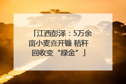 江西彭泽：5万余亩小麦喜开镰 秸秆回收变“绿金”