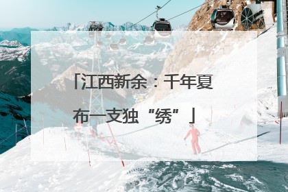 江西新余：千年夏布一支独“绣”