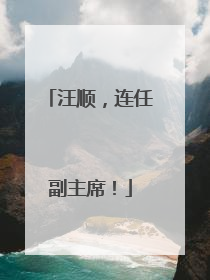 汪顺，连任副主席！