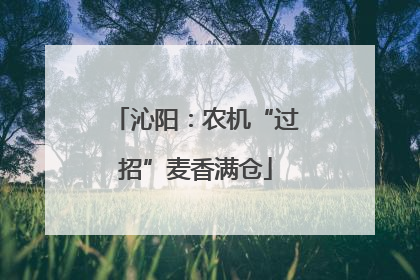 沁阳：农机“过招”麦香满仓