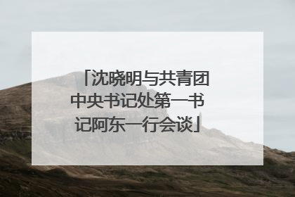 沈晓明与共青团中央书记处第一书记阿东一行会谈